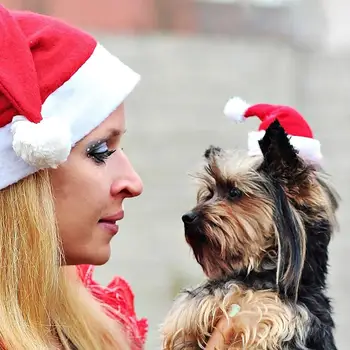 Prabangus Naujųjų Metų Kepurės Aukščio Kalėdų Pet Skrybėlę Tvora Virvę Cute Mados Gražus Paprastas Cosplay Atsitiktinis Kalėdų Vakarėlį Nuotraukas