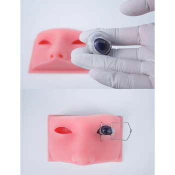 Oftalmologijos galvos modelio mikrochirurginių Gyvūnų akių pratimai Aukštos kokybės silikono Oftalmologijos chirurgijos modelis