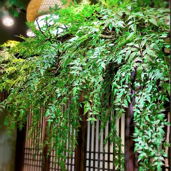 Imituojamas Pietų Tianzhu sienos kabo augalų sienos apželdinimas, vijokliniai vynuogynų, kabo žalių augalų ir vynmedžių