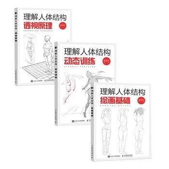 Suprasti Žmogaus Kūno Struktūrą: Dinamiškas Mokymas + Perspektyvos Principą, + Piešimo Pagrindai Anime Tapybos Pamoka Meno Knyga